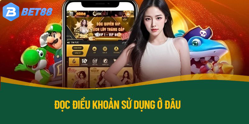 Điều khoản sử dụng có thể phát hành ở đâu?