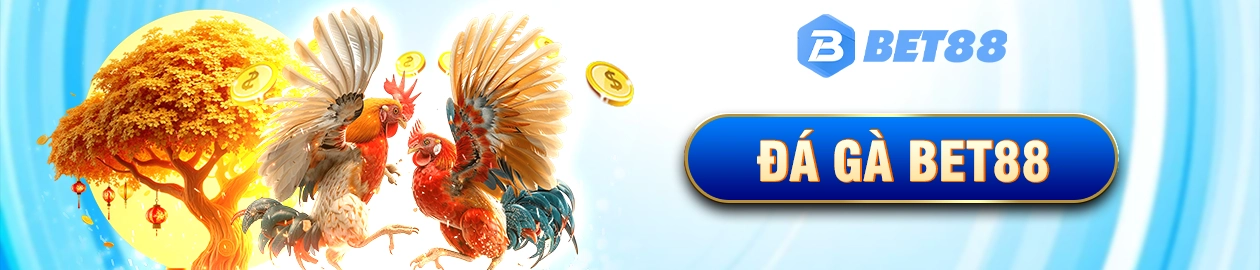 Đá gà bet88