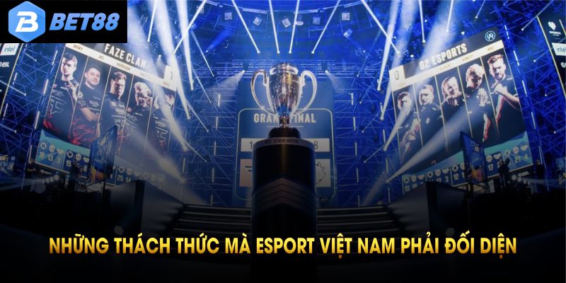 Esport Việt Nam có tốc độ phát triển nhanh chóng
