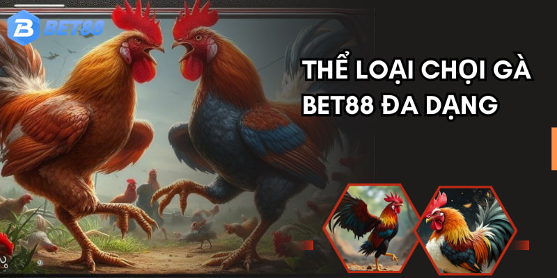 Đá gà BET88 chinh phục hàng nghìn hội viên tham gia mỗi ngày