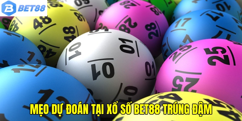 Vô số hình thức mới mẻ, hoành tráng đã được cung cấp